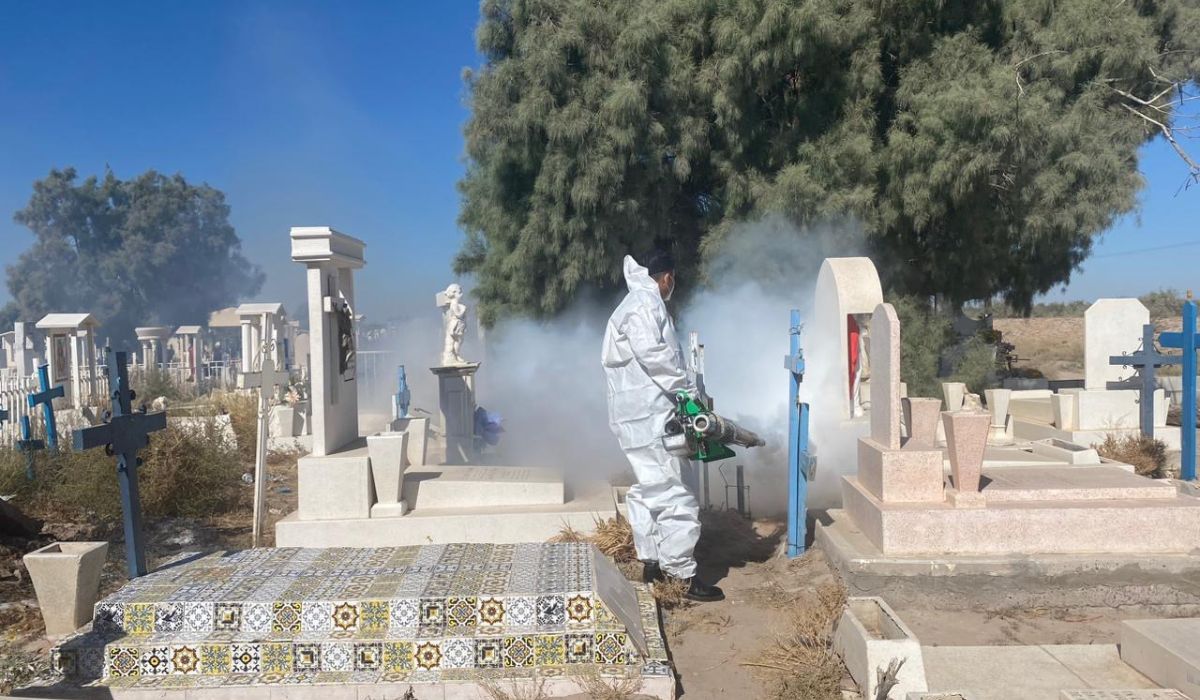 Inicio de fumigación en panteones de Madero y San Pedro, por Salud