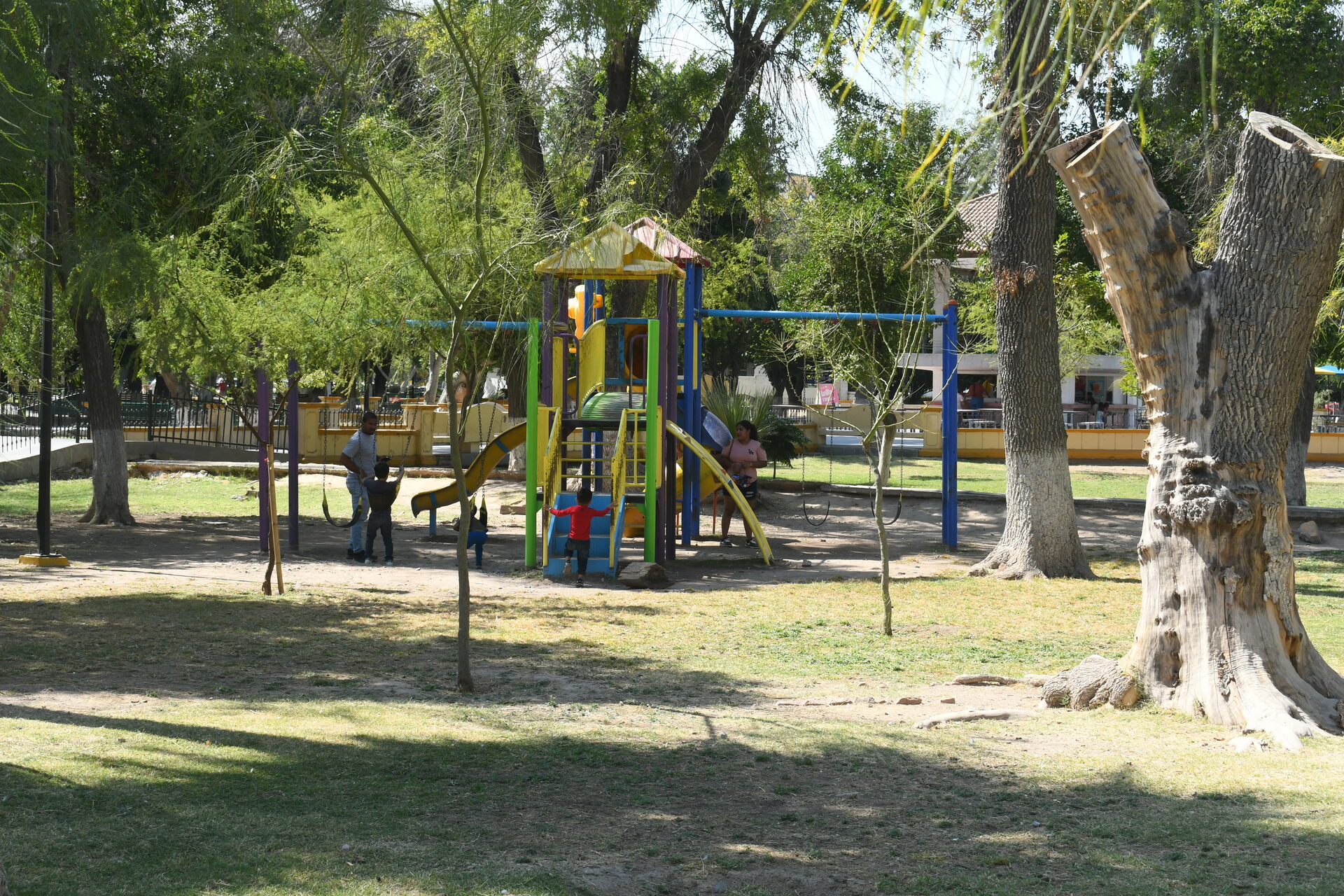 Regidor de Torreón alerta sobre contaminación por plomo en parques públicos