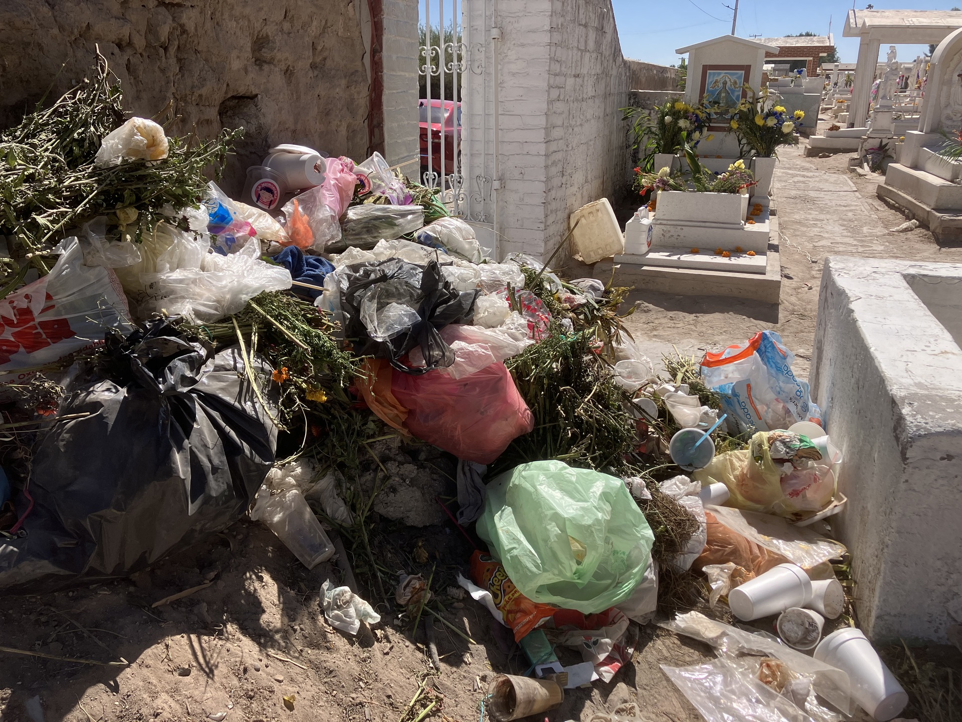 Retiran al menos seis toneladas de basura en el panteón de San Pedro