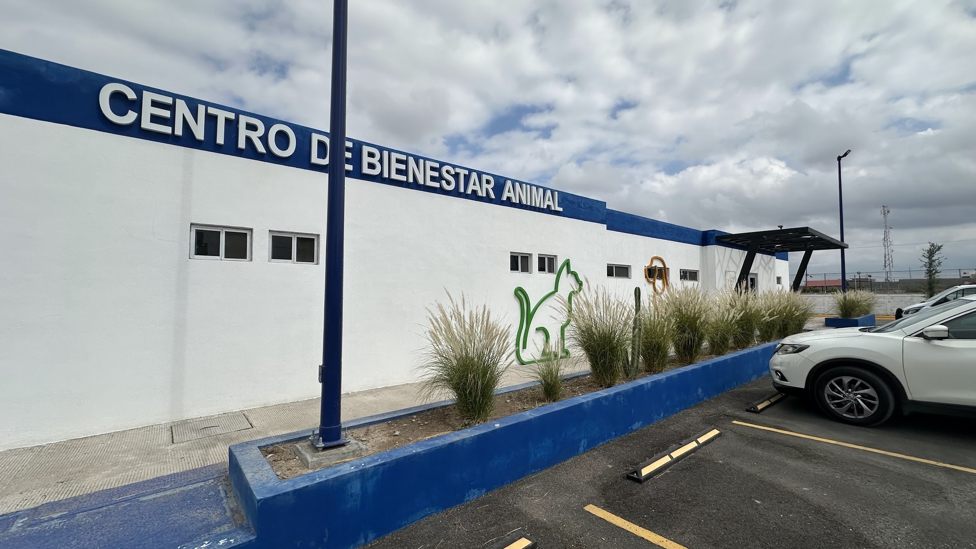 Realizan tres cirugías diarias en Centro de Atención Animal de Monclova