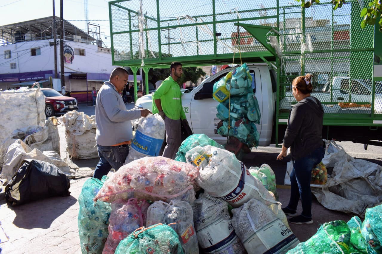 San Pedro recauda más de 6 toneladas en campaña de reciclaje y reforestación