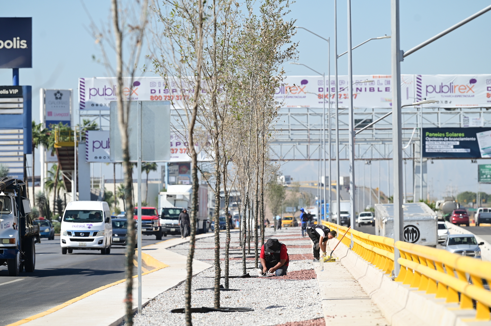 Aún faltan árboles por plantar en el Giro Independencia, mientras siguen las obras complementarias. (EL SIGLO DE TORREÓN)