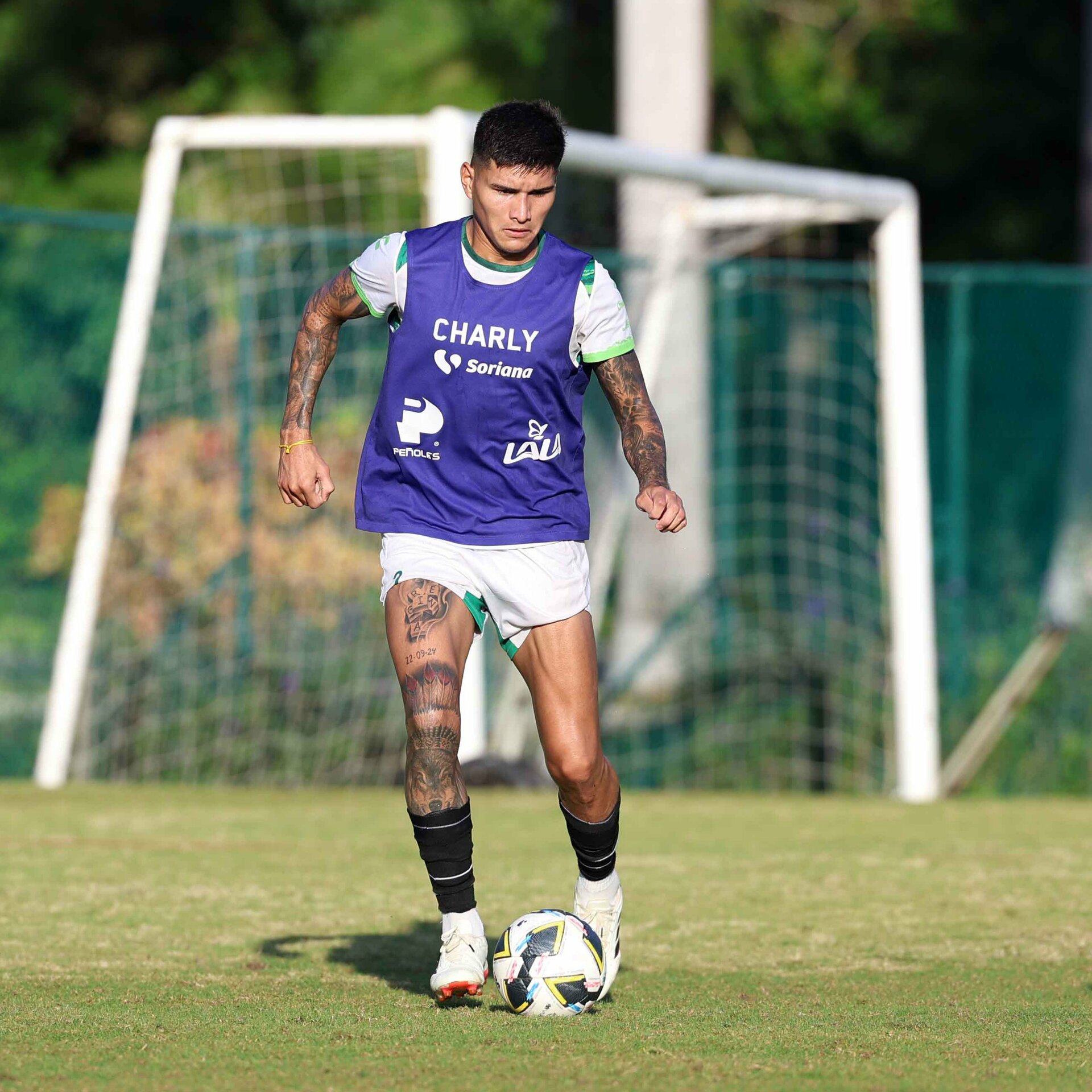 Bruno Amione se dijo ‘contento’ con
la llegada del técnico Fernando Ortiz
al mando de los Guerreros para el
Clausura 2025. (Especial)