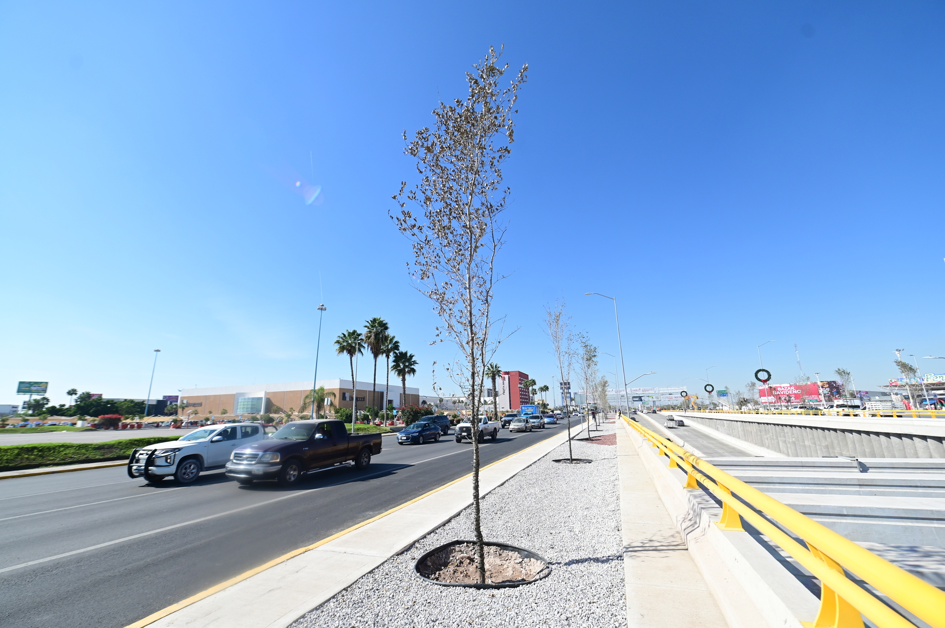 Pavimentación y drenaje; prioridades en la próxima administración de Torreón