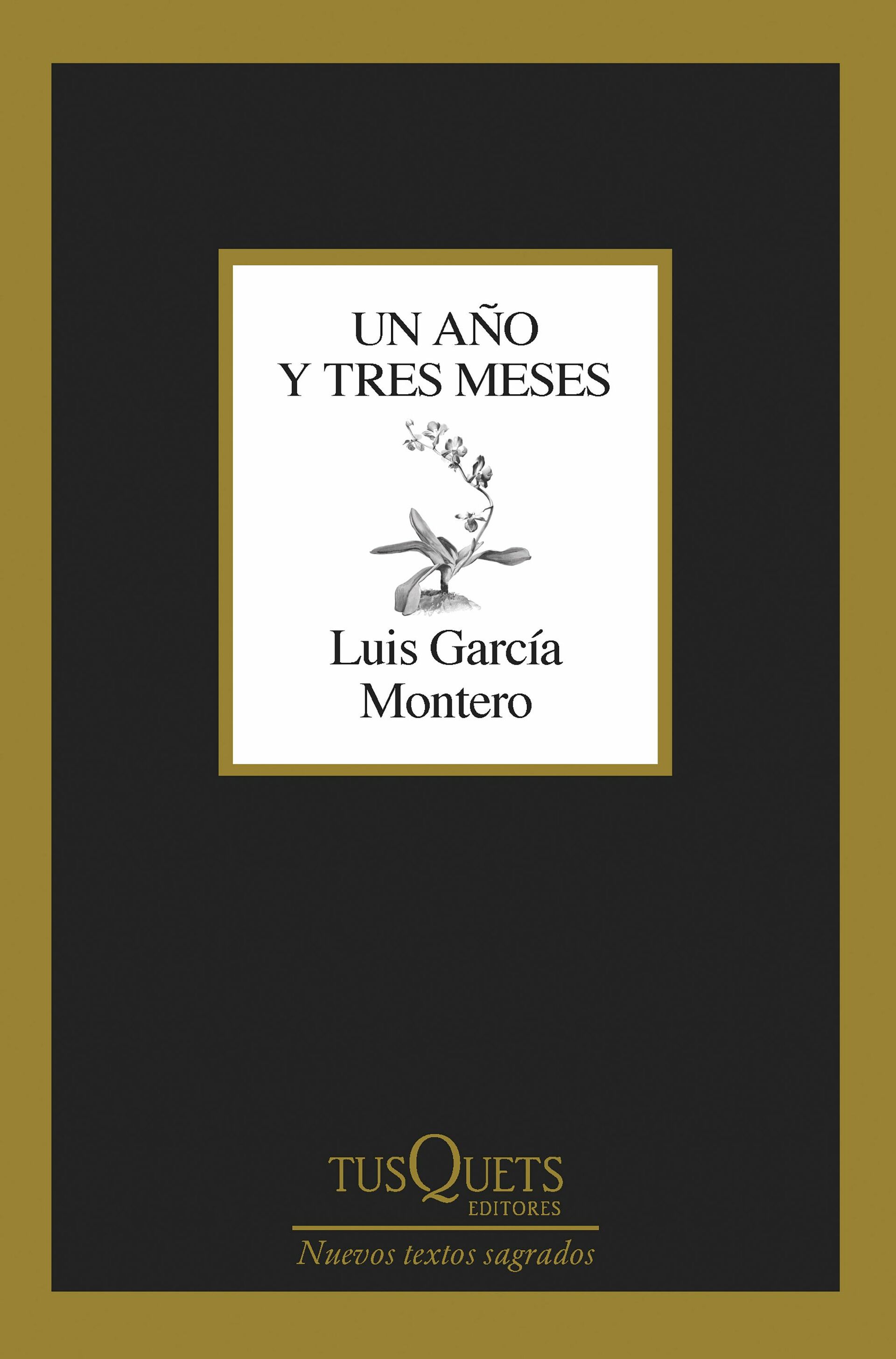 Luis García Montero / Un año y tres meses.