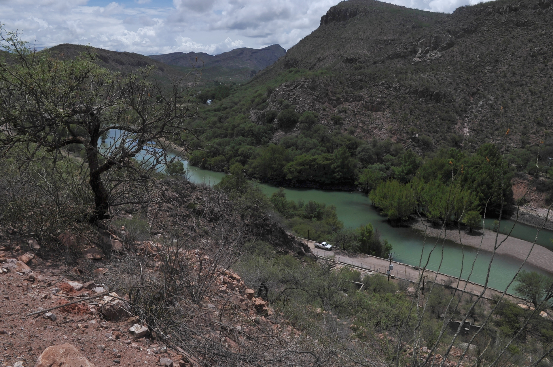 Crisis hídrica afecta agricultura lagunera