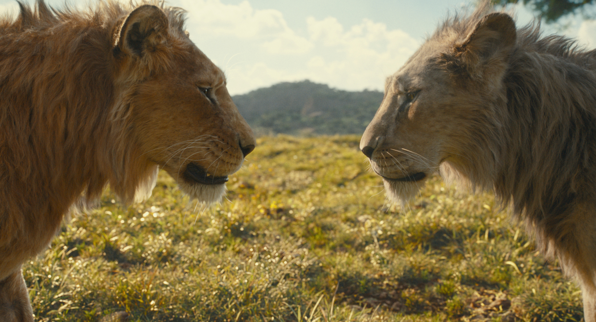 El esperado regreso de Mufasa: El Rey León llega a los cines laguneros