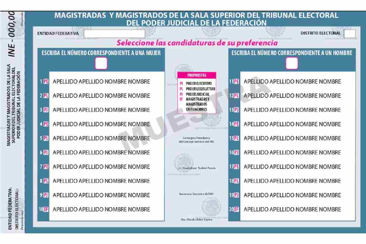 Panistas crítican el diseño de boletas de elección judicial