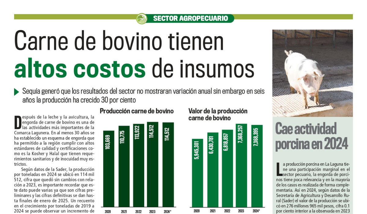 Carne de bovino tienen altos costos de insumos