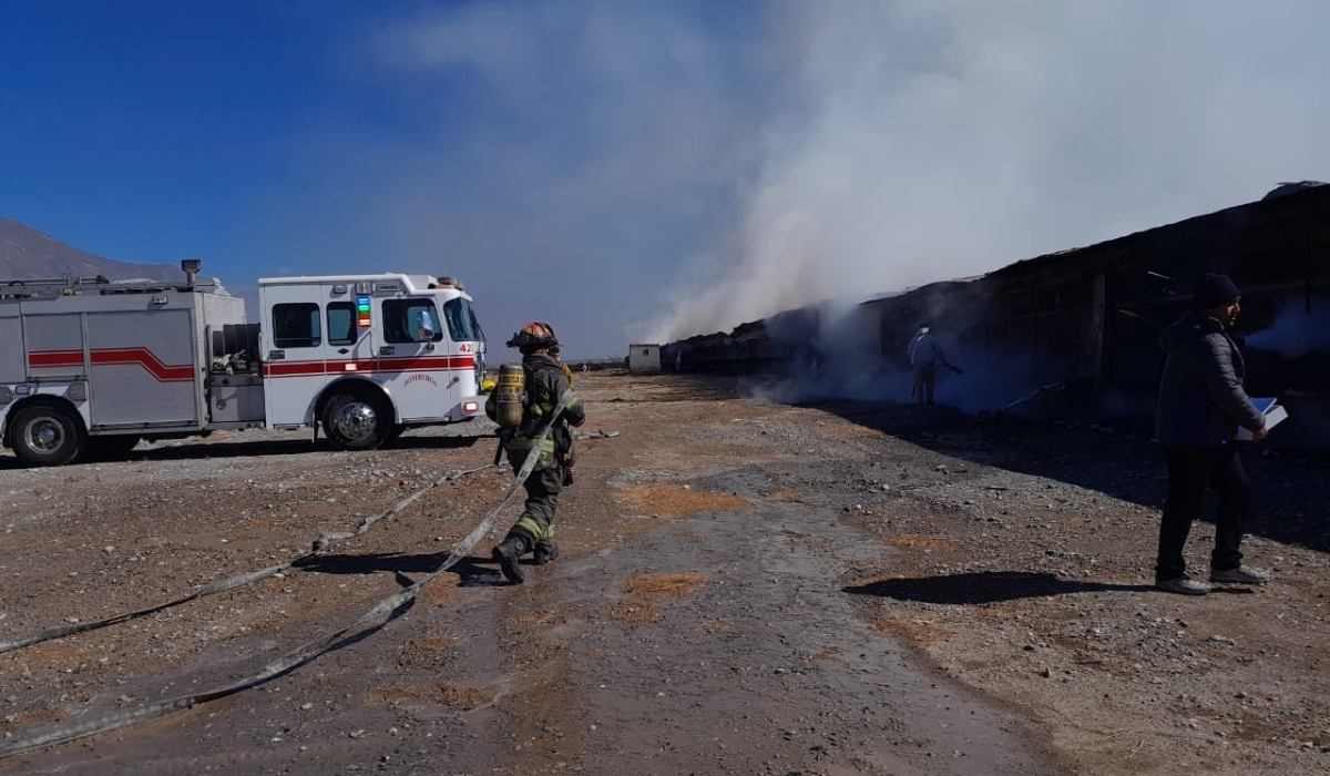 Mueren 12 mil aves tras incendio en granja de Bachoco