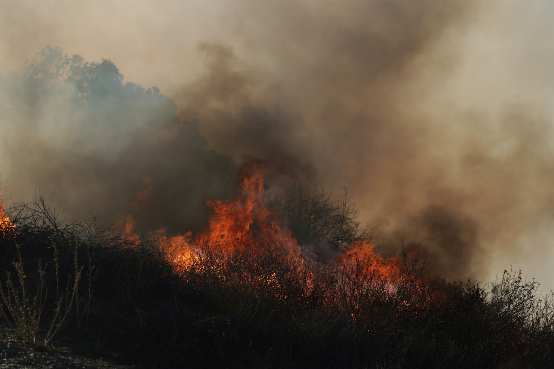 Las llamas se encienden en la maleza del incendio forestal de Palisades en el barrio de Pacific Palisades de Los Ángeles, California, EUA, el 10 de enero de 2025. EFE/EPA/ALLISON DINNER