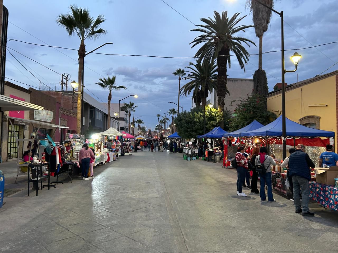 El Mercadito Emprendedor Navideño benefició a más de 130 comerciantes gomezpalatinos