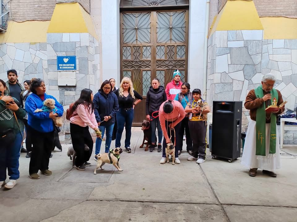 Bendicen mascotas en Torreón