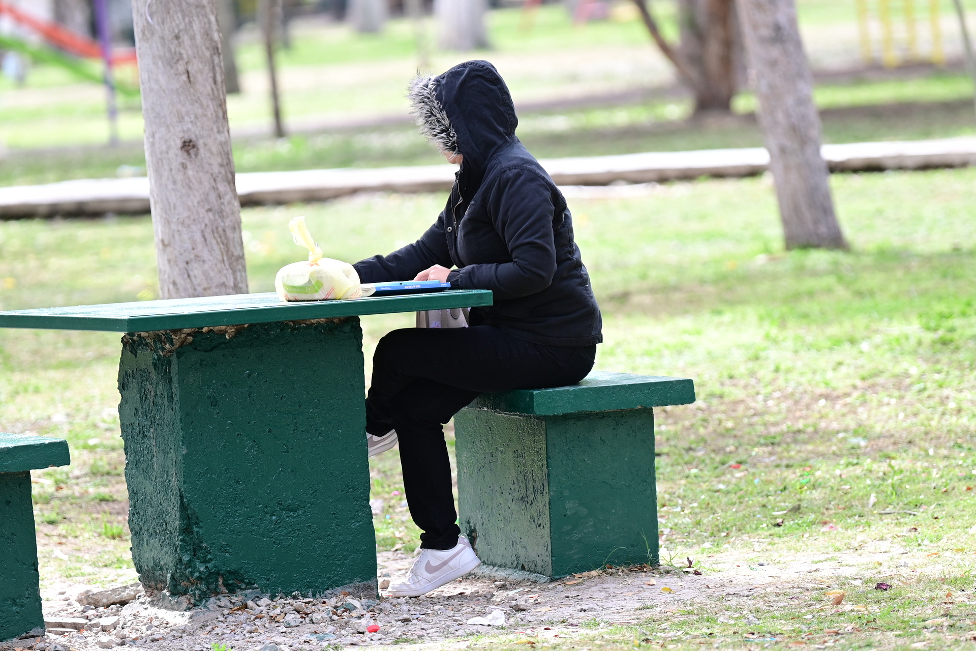 Registra Torreón primera helada con temperatura mínima de -1.8 grados