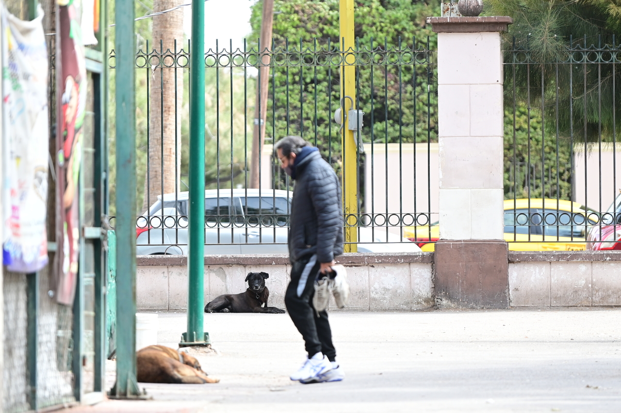 Las temperaturas mínimas en la región lagunera van en aumento, esperan 0 a 3 grados centígrados para este viernes. (EL SIGLO DE TORREÓN)