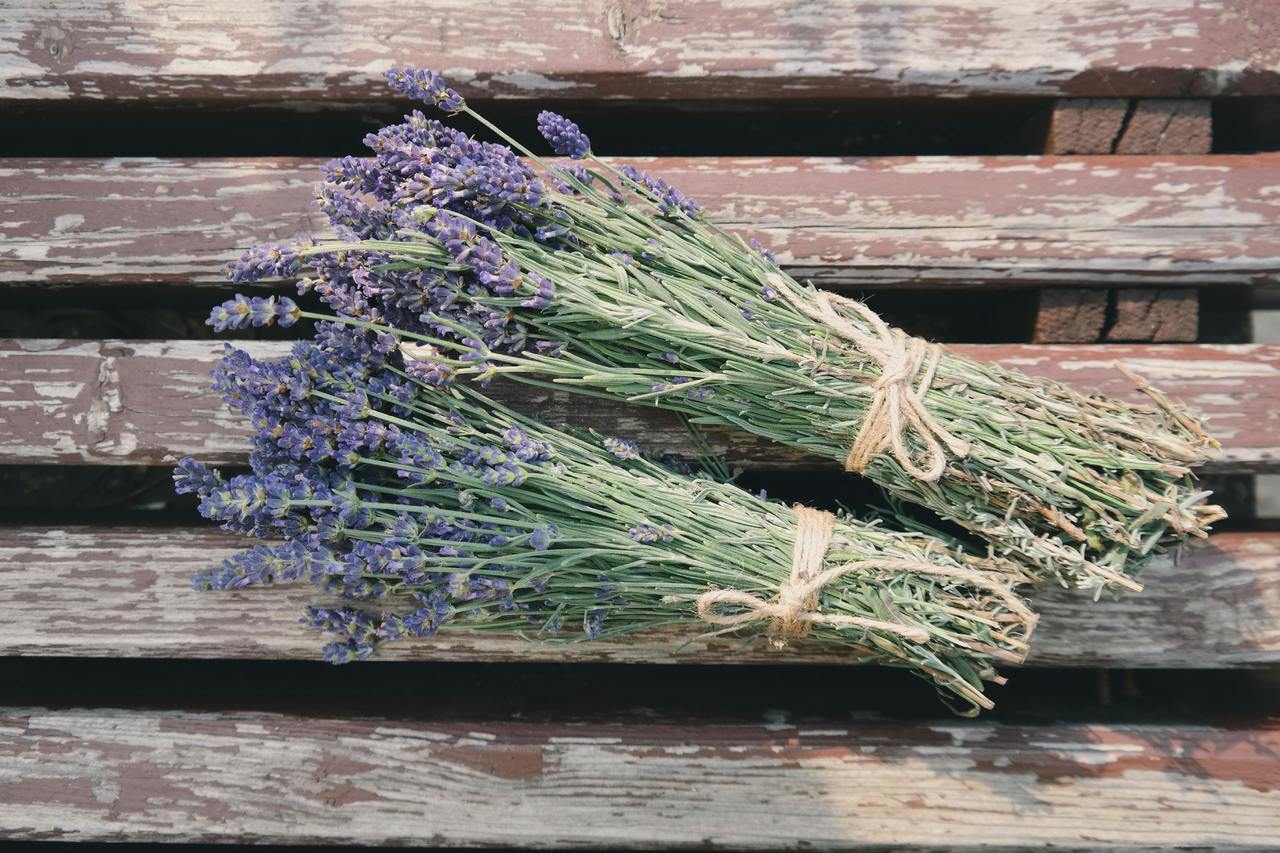 La lavanda es conocida por su capacidad para calmar la ansiedad.