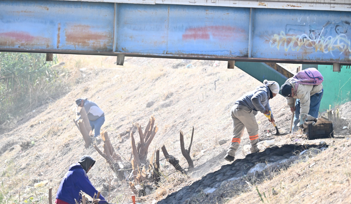 Resalta alcaldesa de Frontera trabajo con MJS