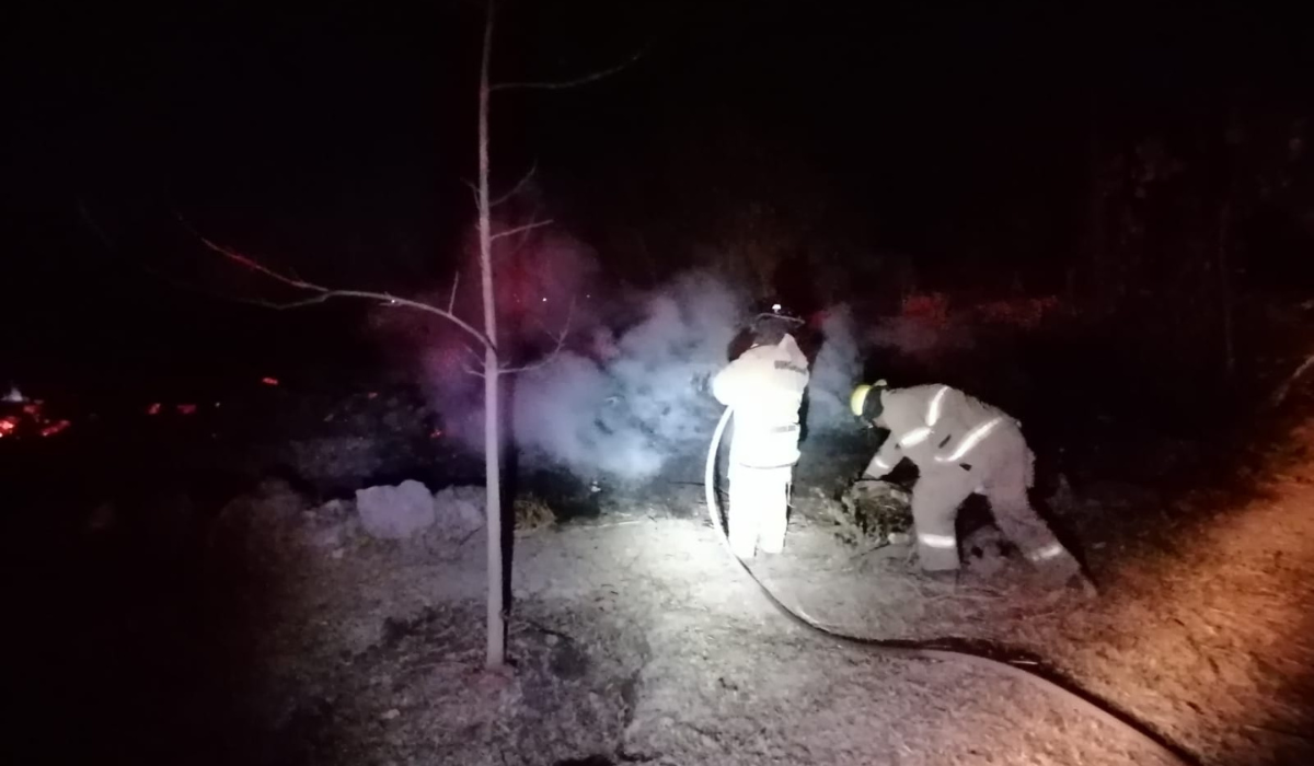 Bomberos sofocan tres incendios de maleza en Lerdo