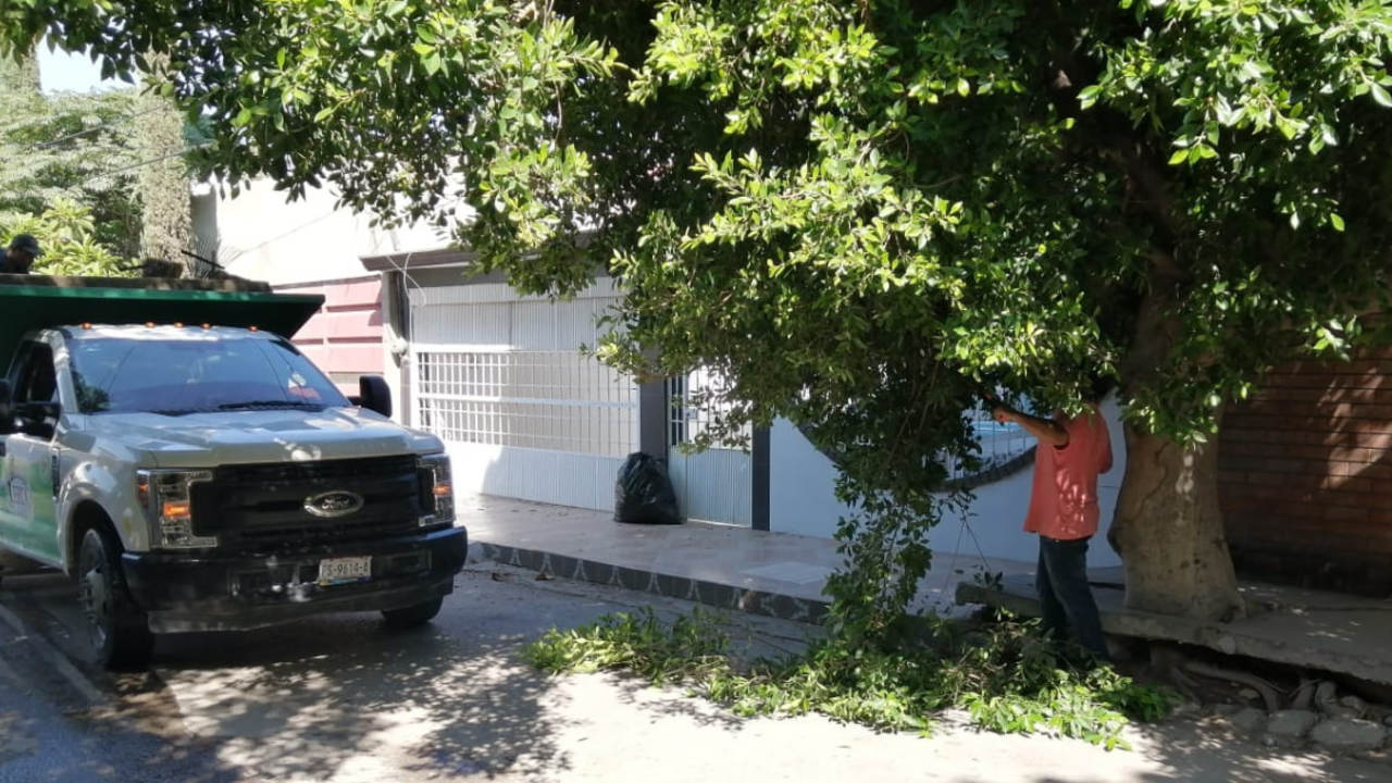 El 28 de febrero finaliza el periodo de poda libre en Lerdo.