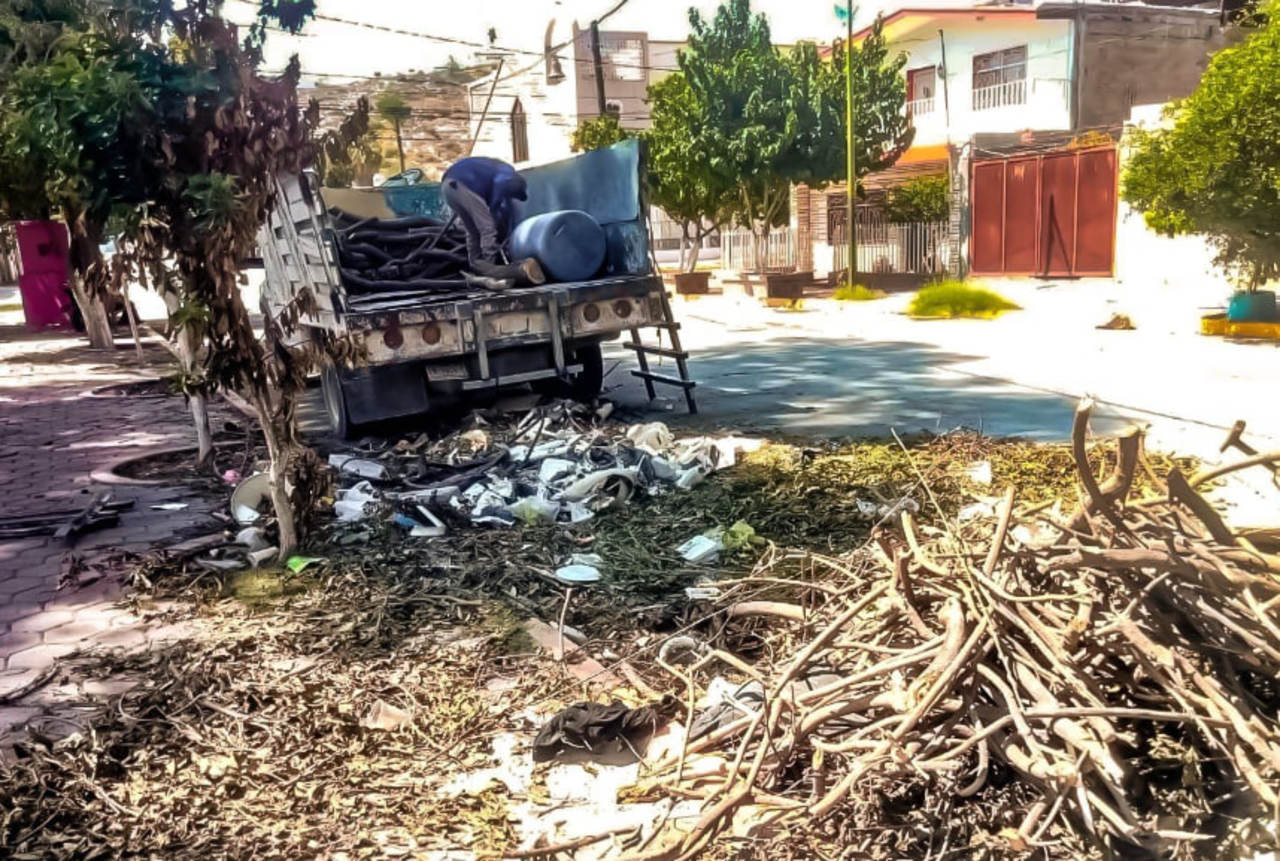 Sancionarán a quien tire desechos en lugares no permitidos.