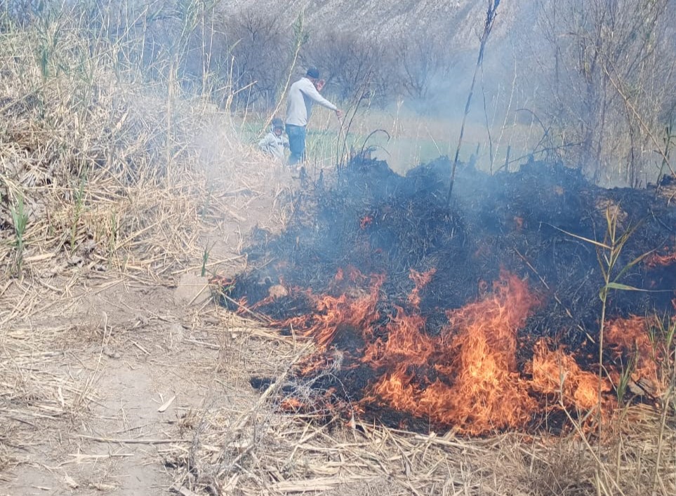 Llama Lerdo a prevenir incendios evitando la realización de fogatas