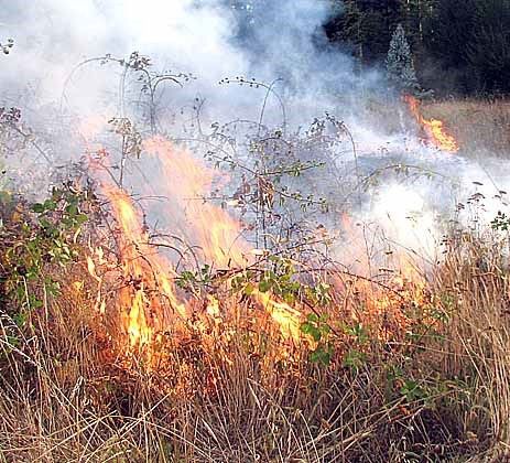 Alertan sobre los peligros de la quema de basura en baldíos