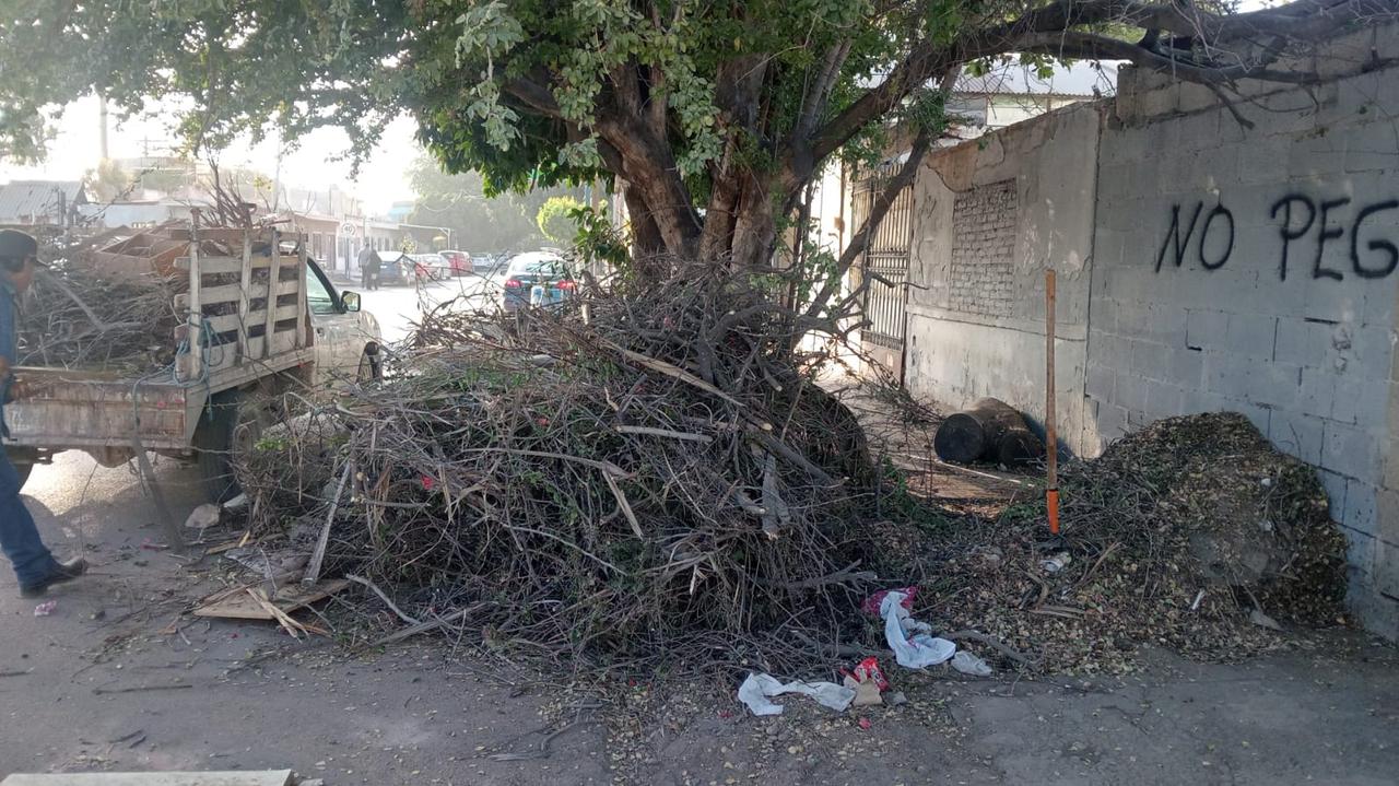 Poda libre en Gómez Palacio.