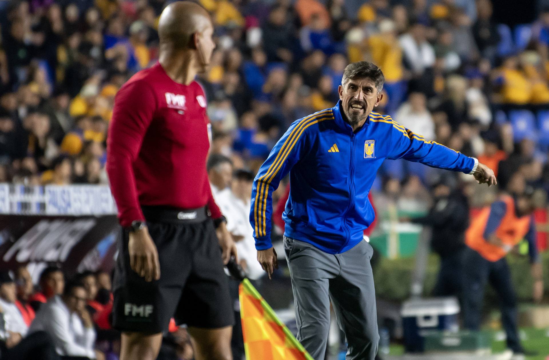 ¿Cuáles fueron los motivos de la salida de Veljko Paunovic de Tigres?