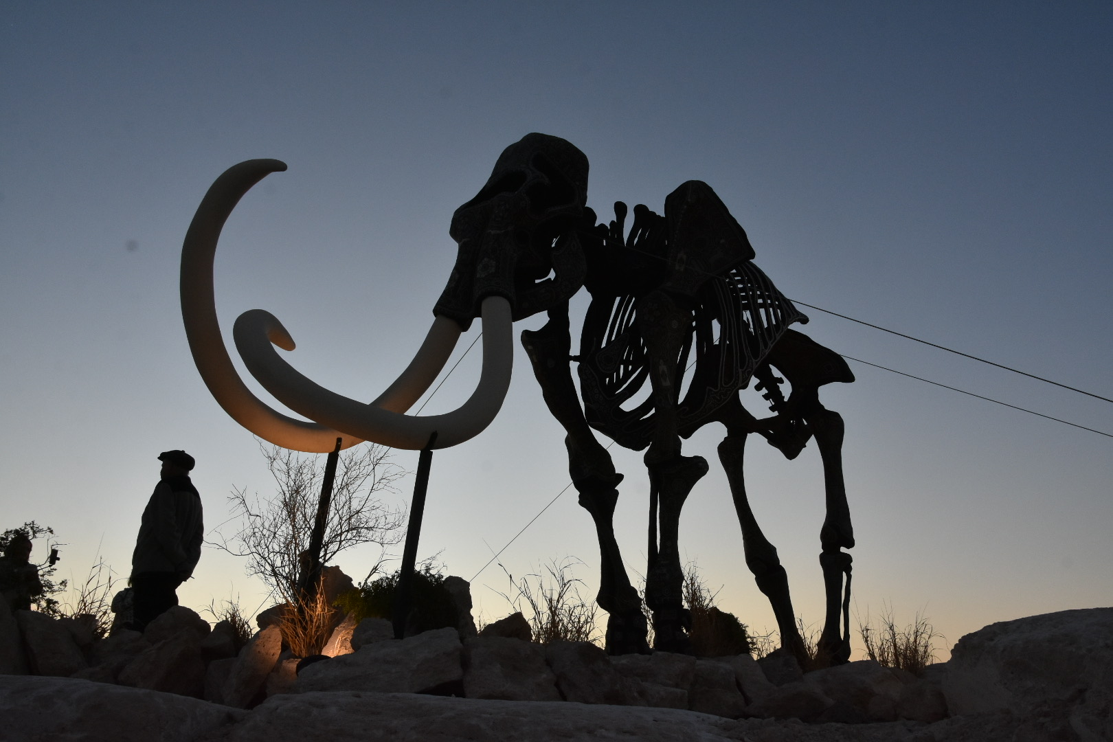 ¿Cómo llegar desde Torreón al Museo del Mamut en Chihuahua?