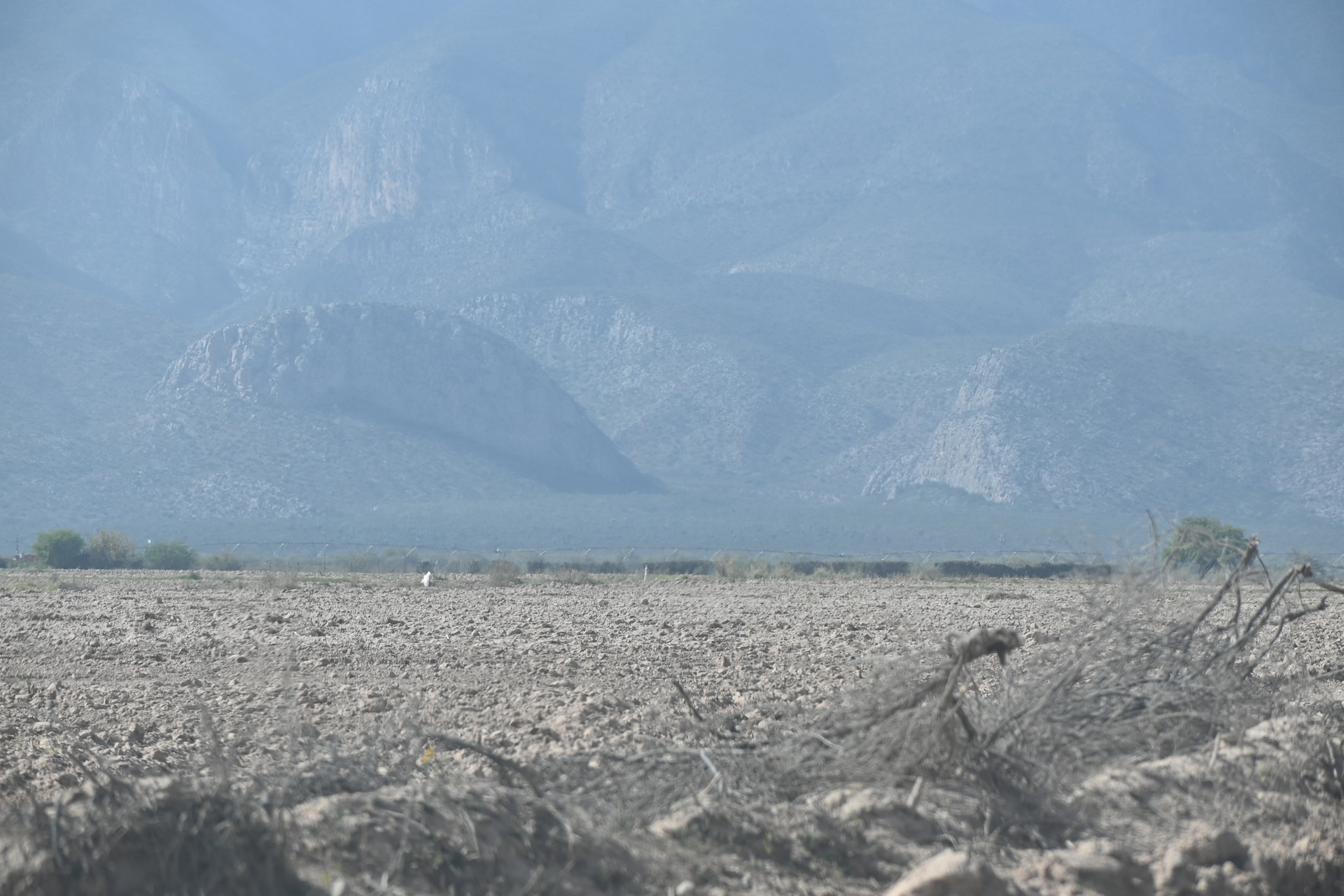 Sequía se mantiene en el 71.1% de la superficie en Coahuila y 87.2% de Durango