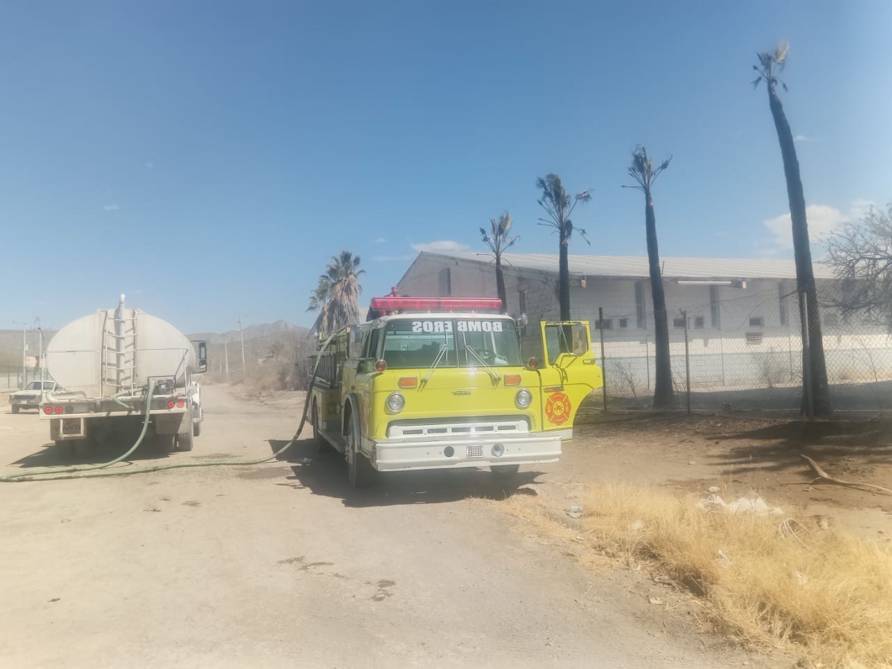 Se incendian 15 palmas en una maquiladora en desuso en Nazareno