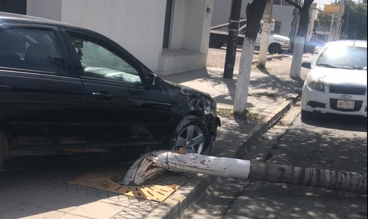 Chocan vehículos y uno derriba una palma en el Centro de Gómez Palacio