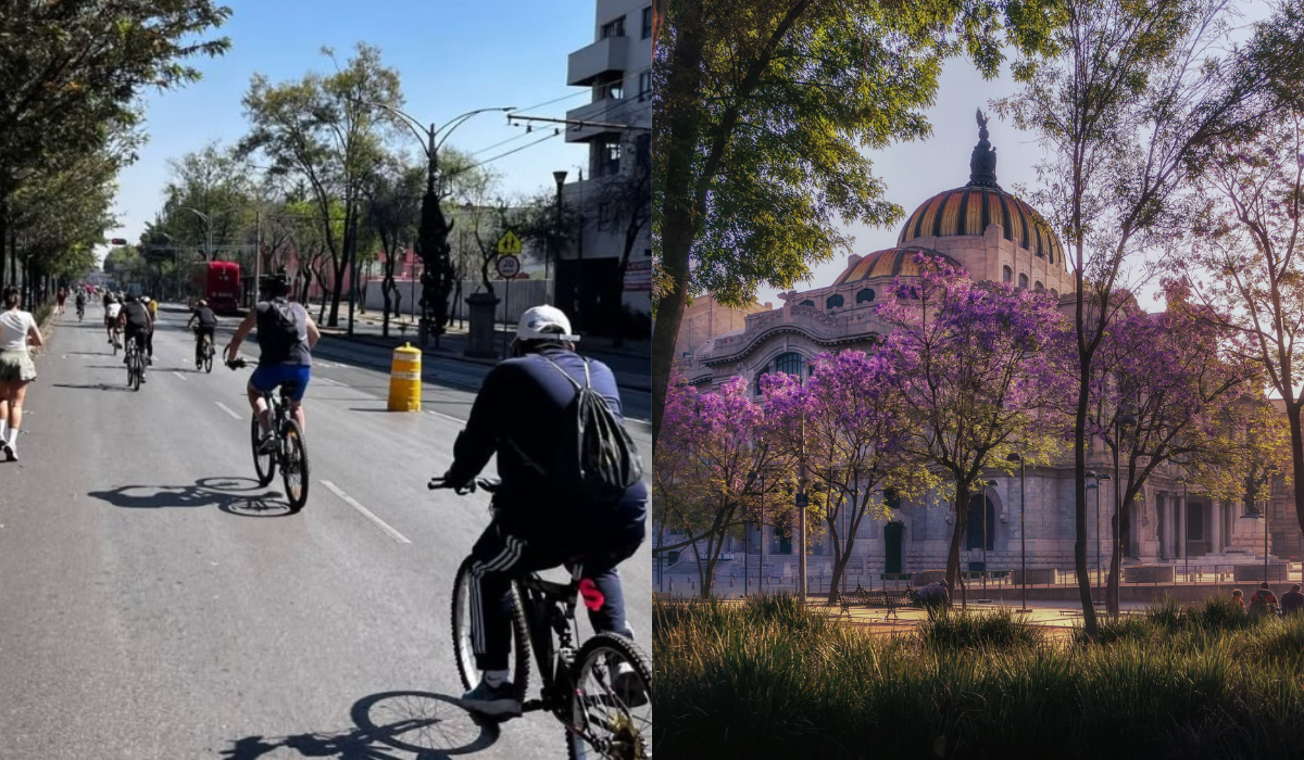 Ciclistas invitan a unirse al Paseo Nocturno de Primavera entre jacarandas en CDMX