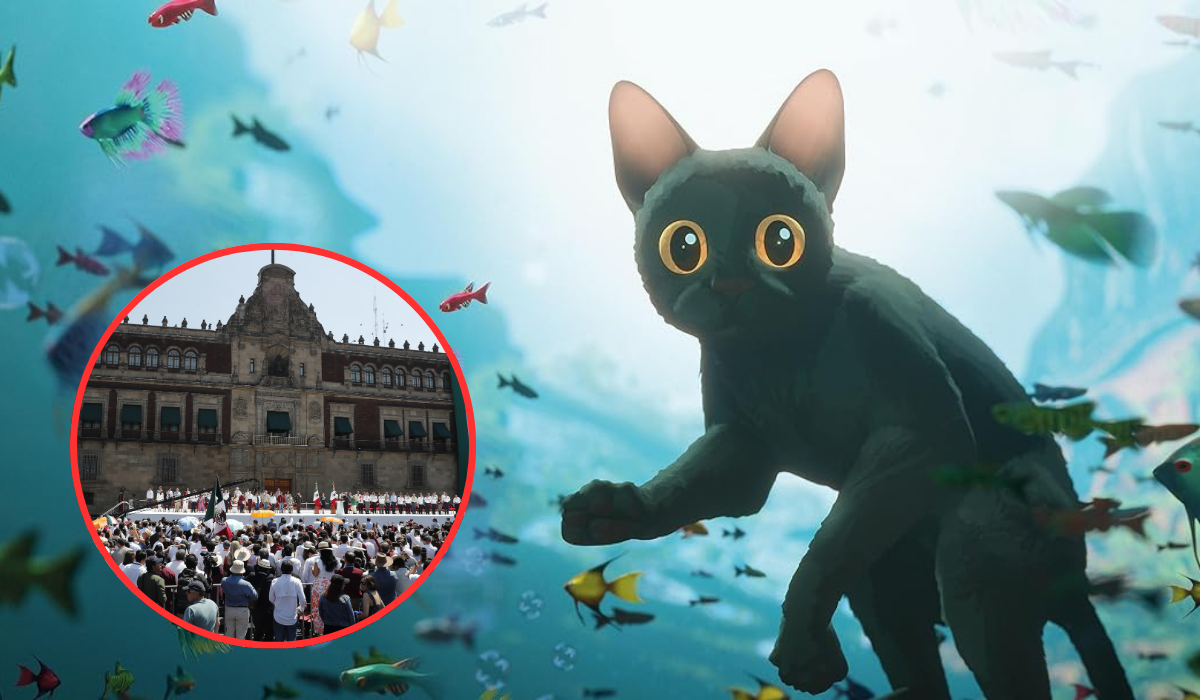 ¿De qué trata 'Flow'?, la película que conmovió México y se proyectará gratis en el Zócalo