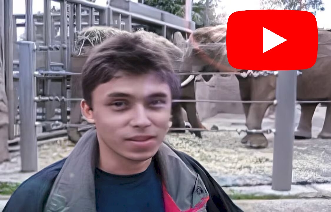 Me at the zoo (CAPTURA)