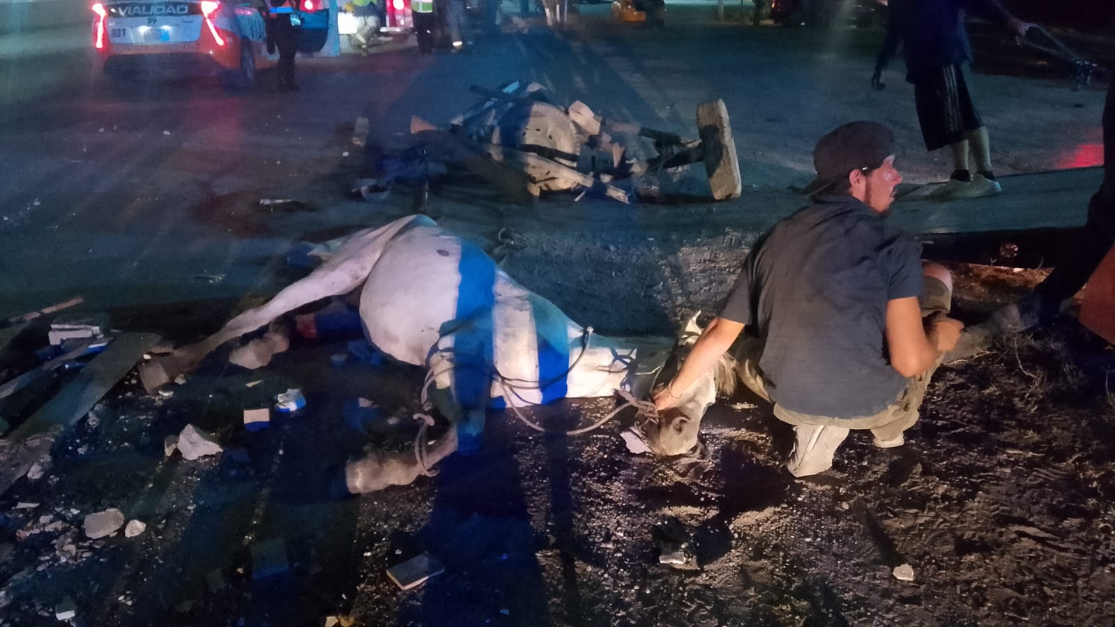 Taxi embiste carromato en periférico; caballo queda gravemente lesionado