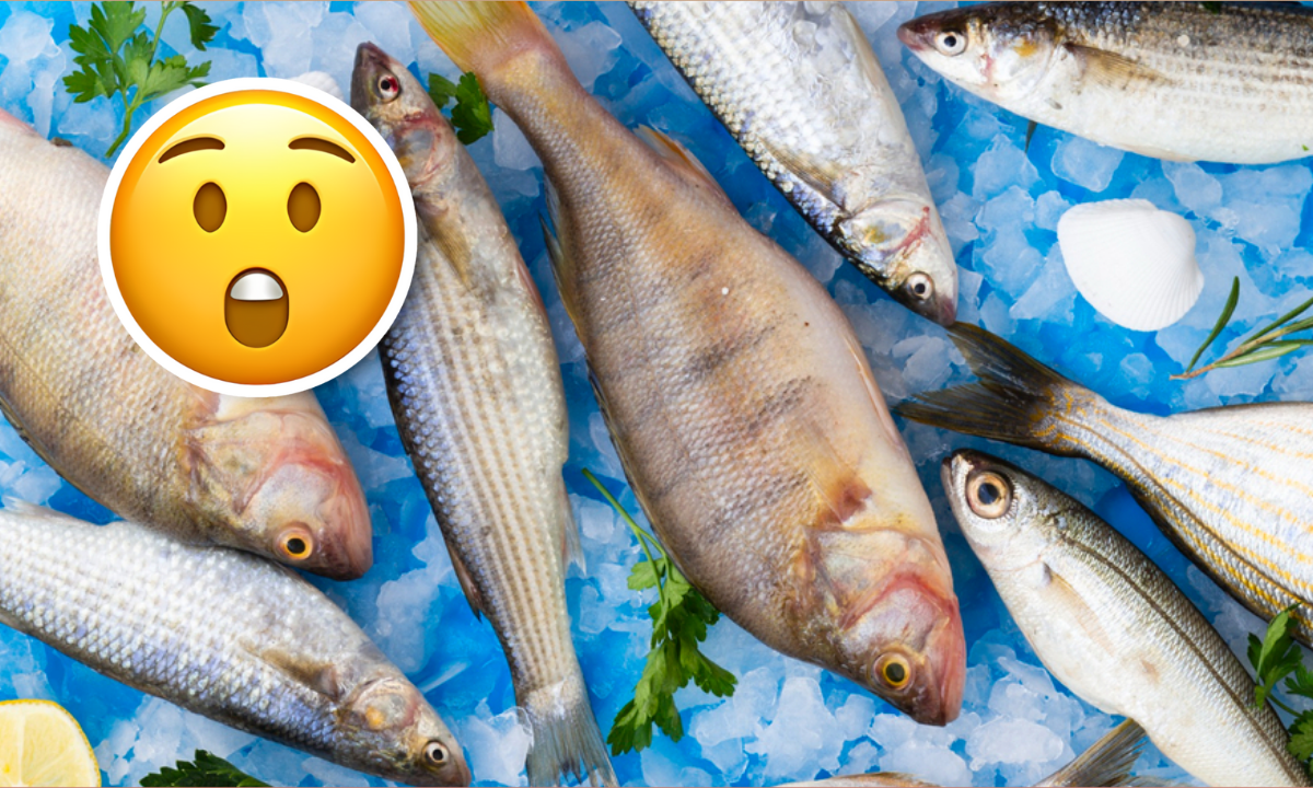 El pescado que contiene más proteína que algunas carnes