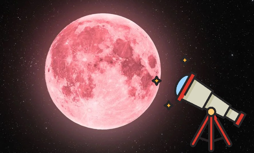 Luna de Flores 2025 (ESPECIAL)