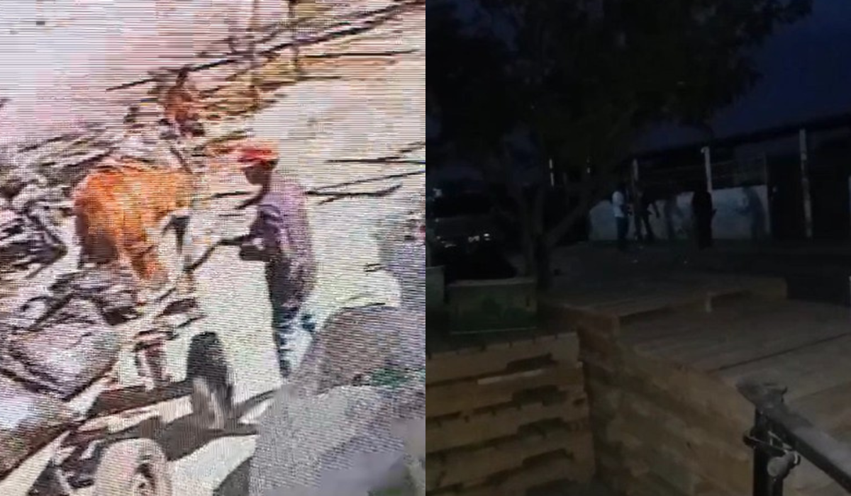 Denuncian casos de maltrato animal; pide Defensoría Animalista ayuda para dar con los responsables