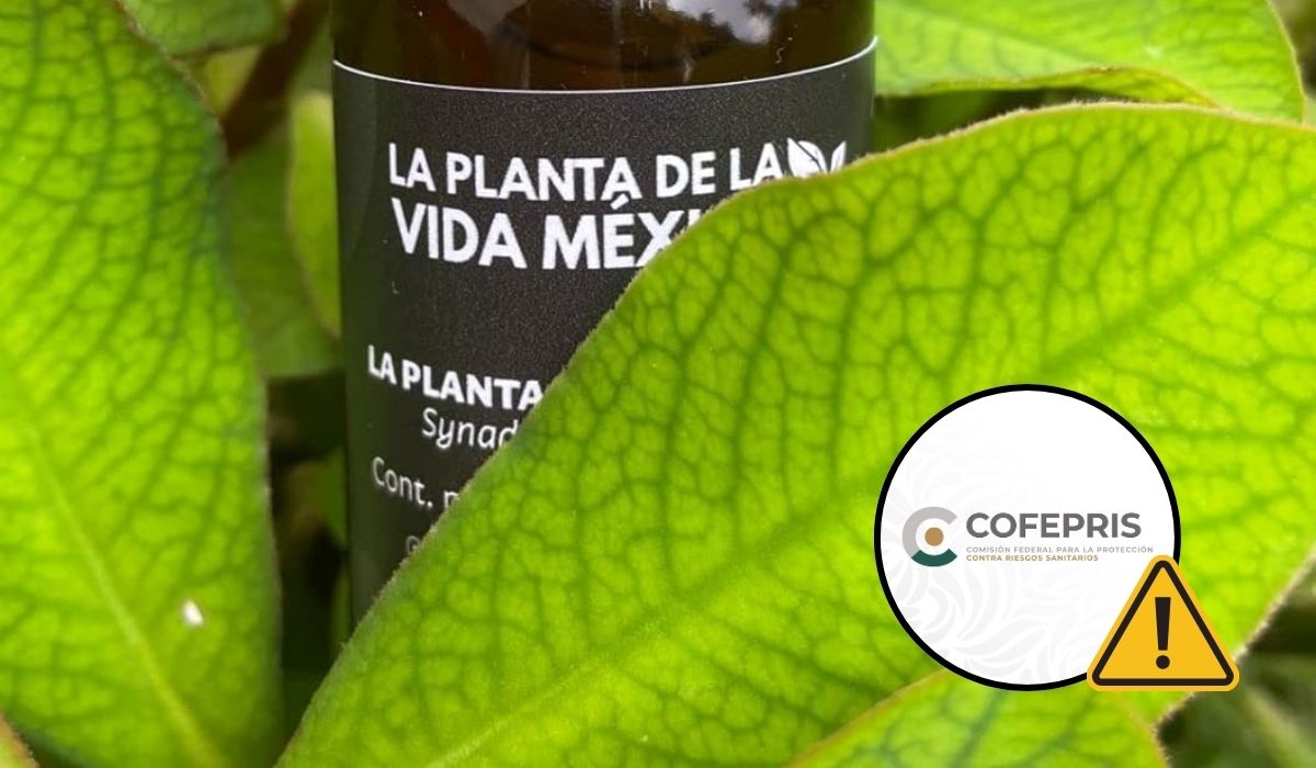 ¡No se deje engañar! Cofepris alerta sobre 'La Planta de Vida México'
