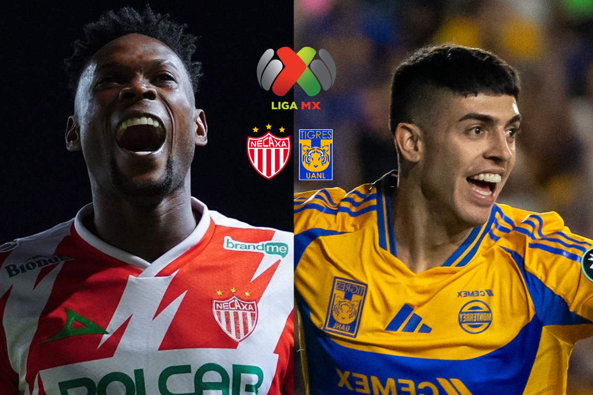 Necaxa vs Tigres: Horario, transmisión y posibles alineaciones | Liguilla Clausura 2025