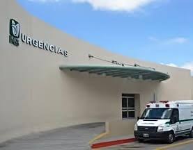 Muere hombres tras caerle encima una rama en Arteaga