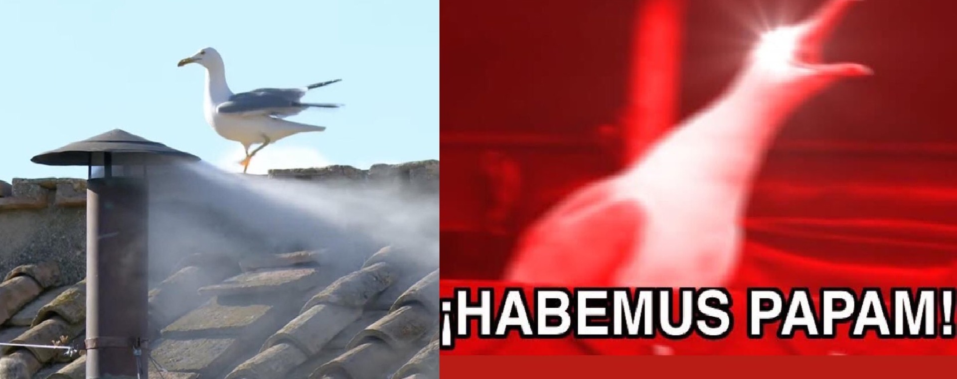 Humo blanco en el Vaticano (REDES SOCIALES) 