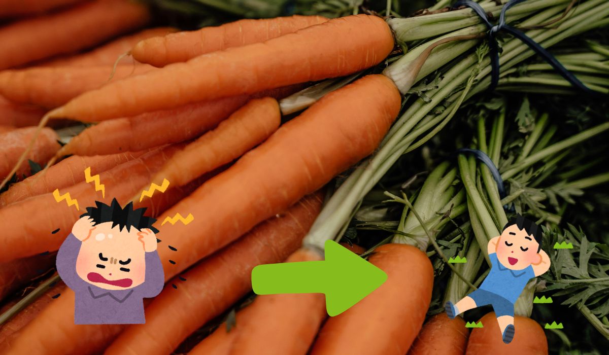 ¿Tus zanahorias no duran en el refri? Este es el secreto para conservarlas
