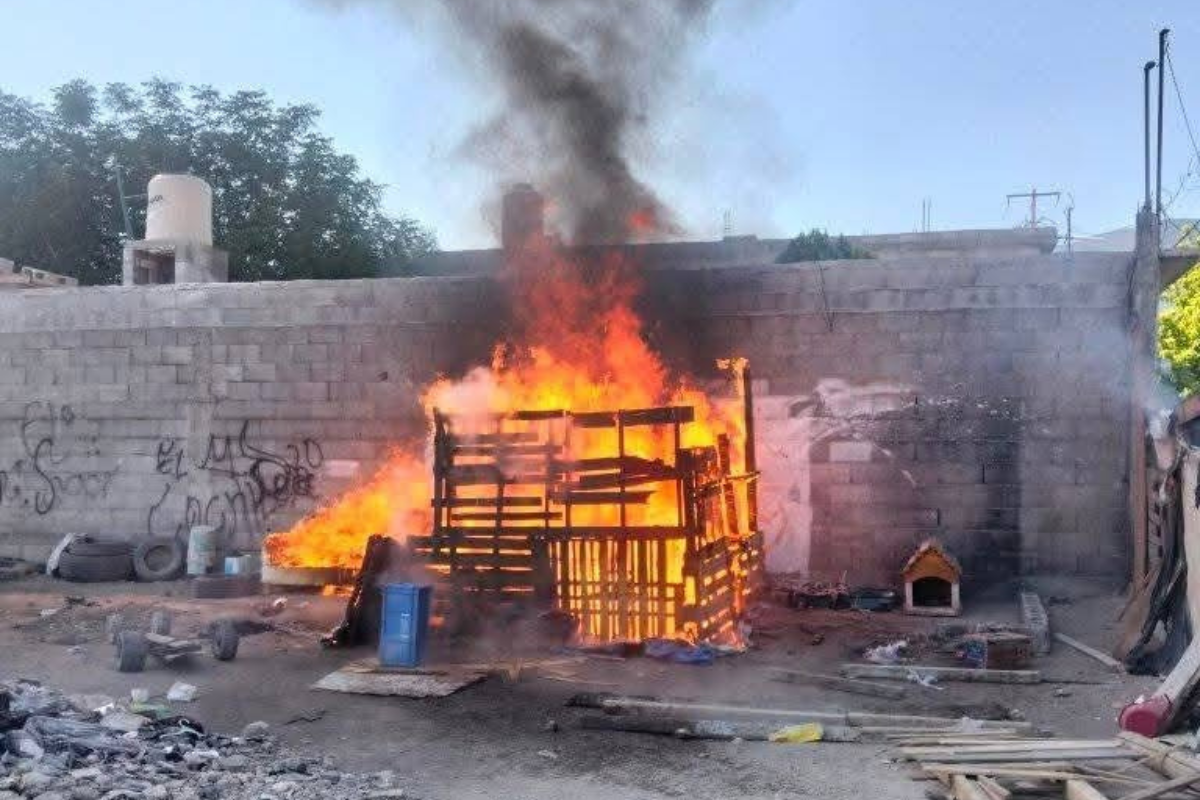 Mueren 2 cachorros en incendio provocado en Saltillo; hay 2 detenidos