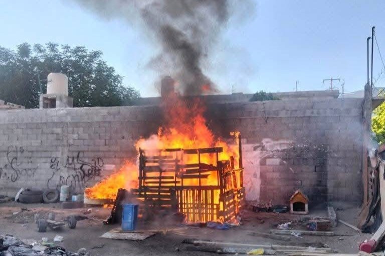 Gobierno de Saltillo denuncia a probable responsable de la muerte de dos cachorros calcinados