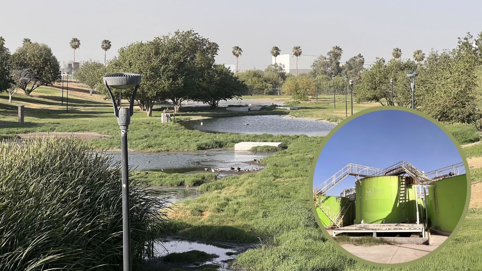 Planta tratadora de aguas residuales en Villas del Renacimiento está colapsada y sin operar