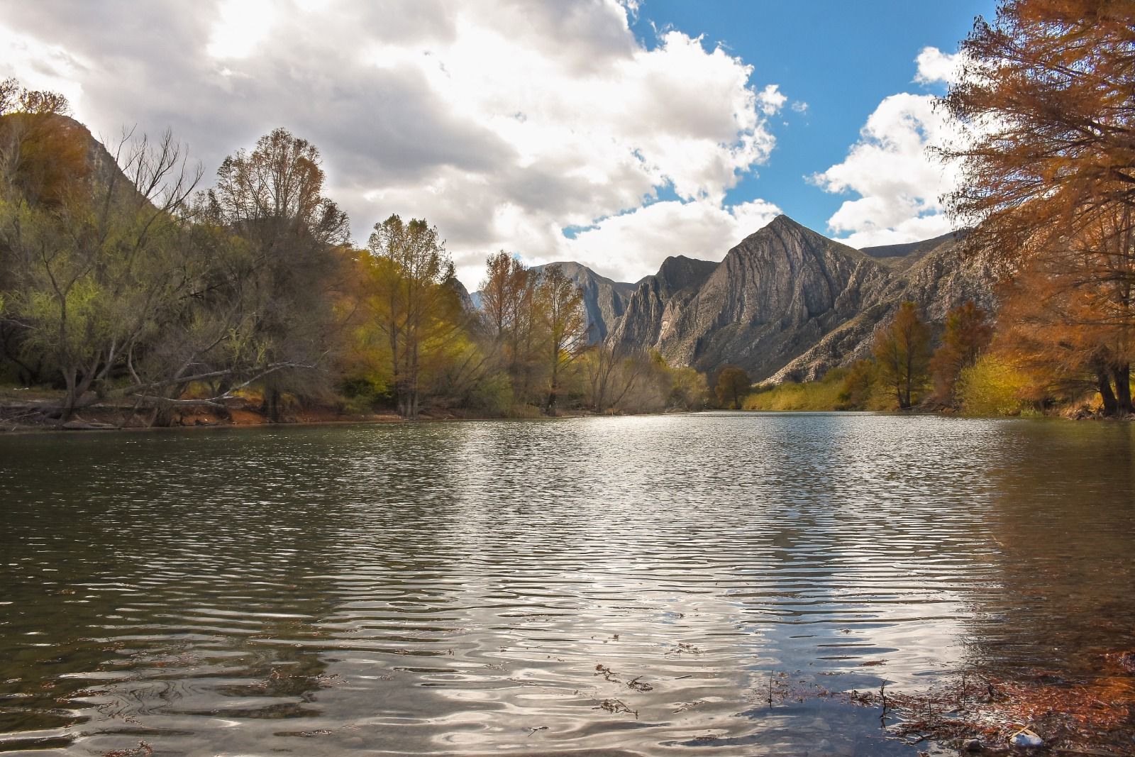 Alcalde de Lerdo pide a Sheinbaum dar seguimiento al Proyecto Agua Saludable Para La Laguna