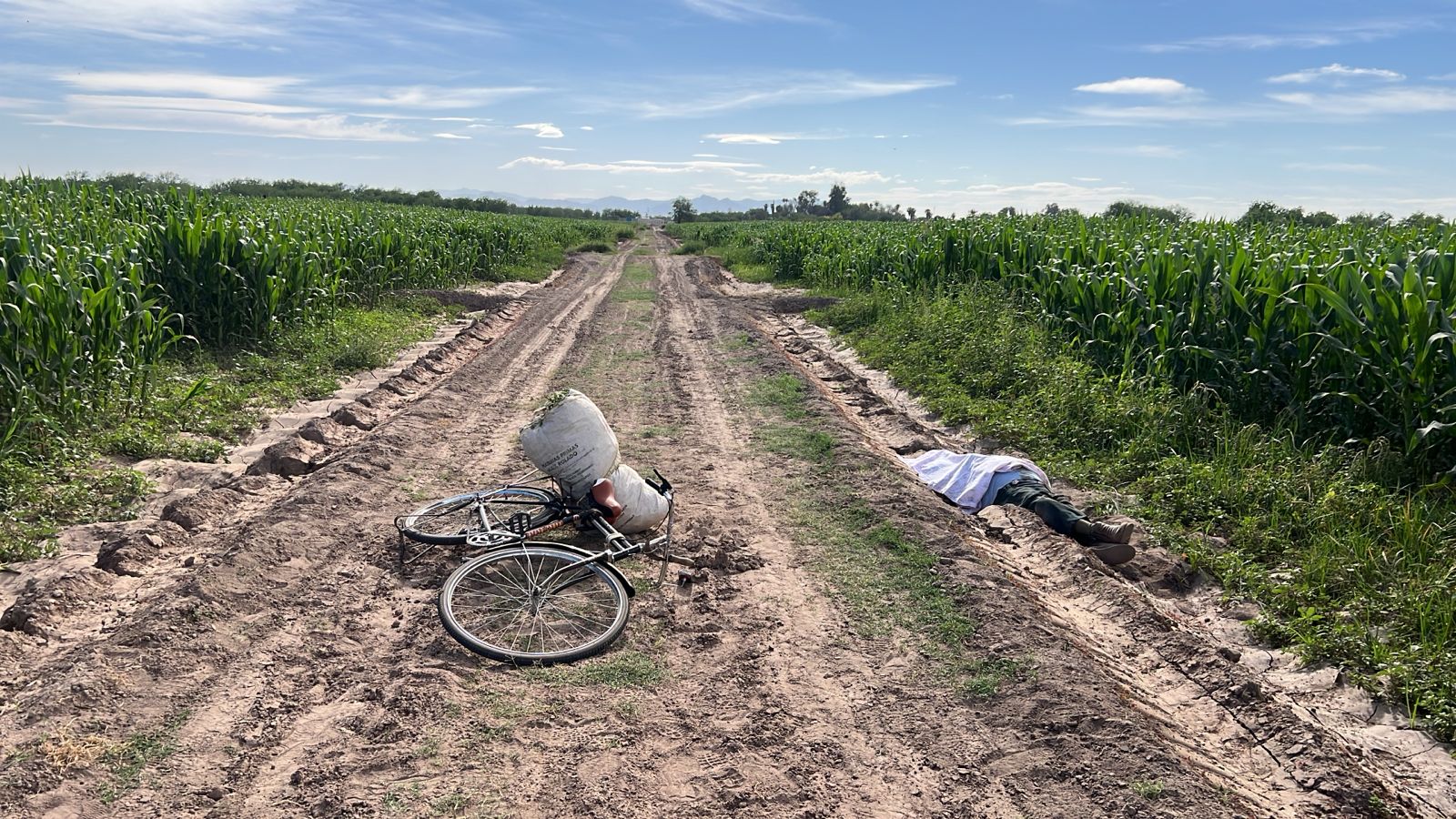 Hallan sin vida a hombre de 76 años en parcelas del ejido El Pilar, Matamoros