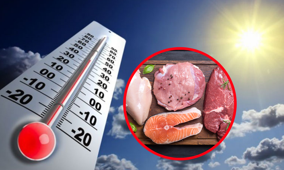 Los riesgos de comer alimentos crudos en la ola de calor